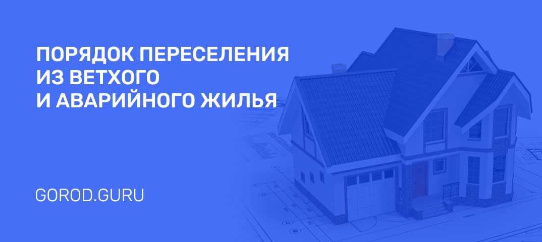 С 1 января 2024 года вводится статус репатрианта