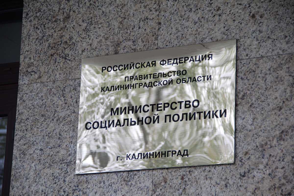 Федеральный проект содействие занятости